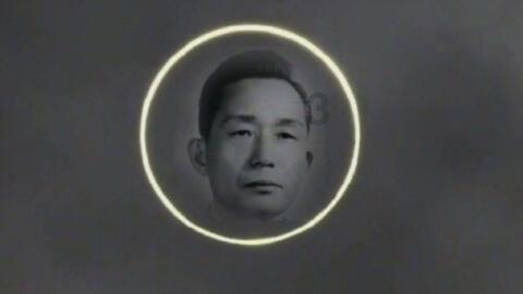 逃离白鸽之森